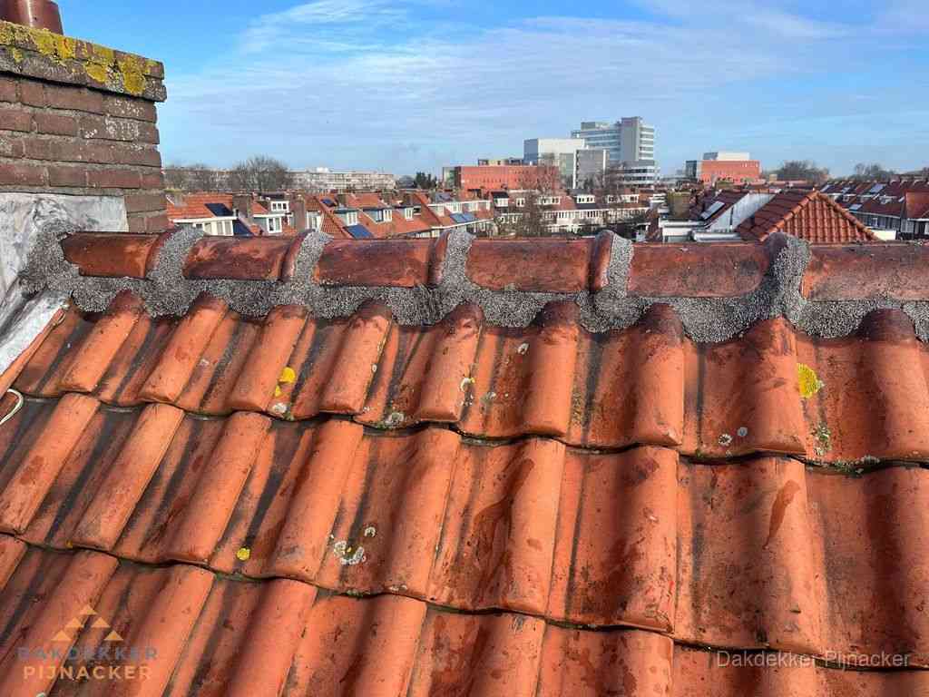 Pijnacker Daken Renoveren Pijnacker Daken Renoveren